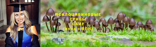 марки lsd Зеленодольск