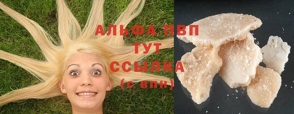 гашик Медногорск