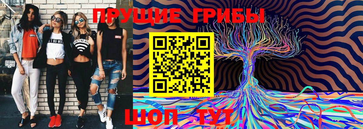 Галлюциногенные грибы GOLDEN TEACHER Михайловск