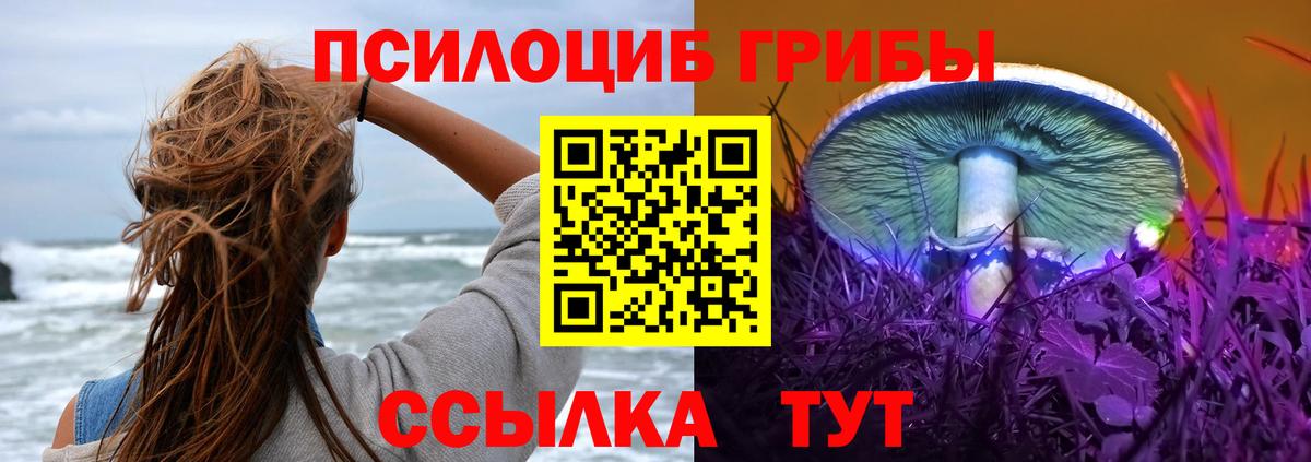 Михайловск  Псилоцибиновые грибы Psilocybine cubensis  Псилоцибиновые грибы мухоморы  Вход с VPN 