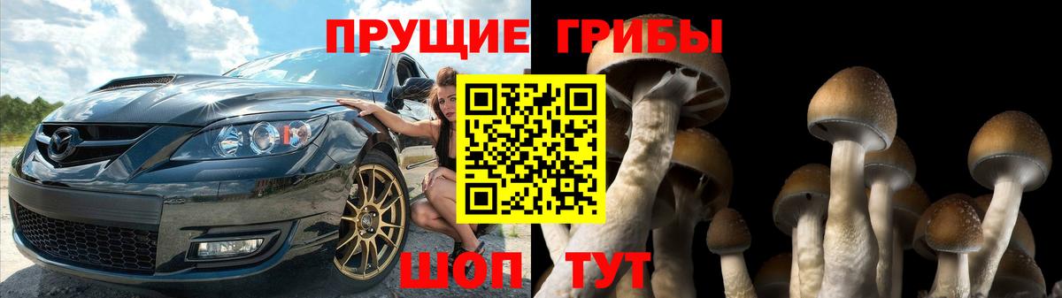 Галлюциногенные грибы ЛСД  Михайловск 